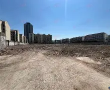 大坂直美主教练3选1球迷热议的简单介绍|